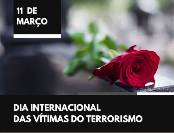 terror 