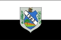 ing