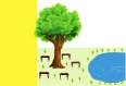 ipubi