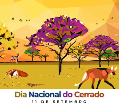 dndc
