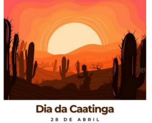 caatinga 