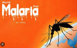 malaria 
