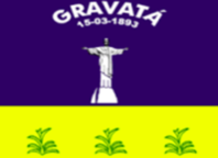 gravata