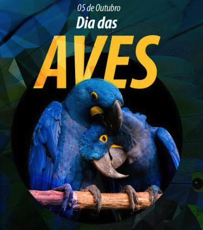 dda